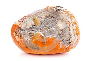Rotten pumpkin