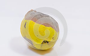 Rotten quince