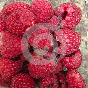 rotten raspberry with mold