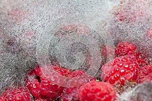 Rotten raspberry with mold
