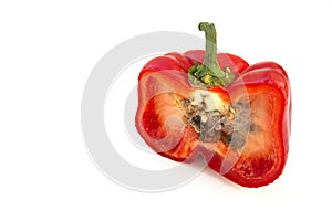 Rotten red bell peppers on white background.