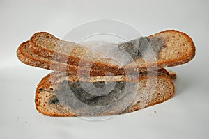 Rotten slices of bread photo