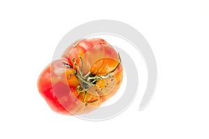Rotten, Spoiled Tomato with Sepals or Calyx, Uneven Ripening and Mold Spots on Skin Isolated on White Background