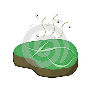 Rotten steak isolated. Tainted meat. Vector food