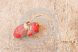 Rotten strawberries