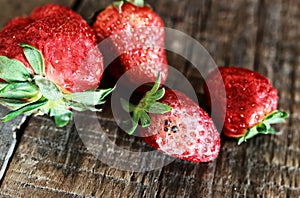 Rotten strawberries concept gmo