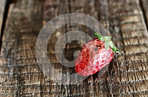 Rotten strawberries concept gmo