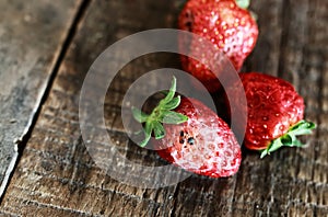 Rotten strawberries concept gmo