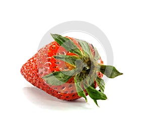 Rotten strawberries on white background