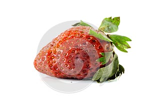 Rotten strawberries on white background