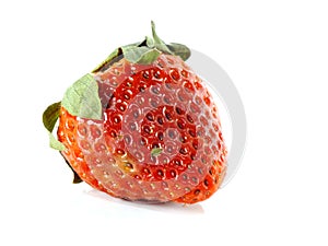 Rotten strawberries on white background