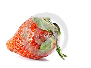 Rotten strawberries on white background