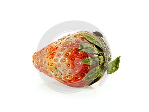 Rotten strawberries on white background