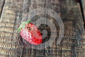 Rotten strawberries on a wooden background