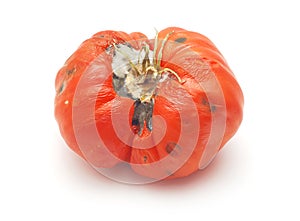 Rotten tomato