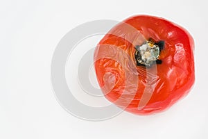 Rotten tomato spoiled by fungi and mold on white background. Inappropriate storage of vegetables.