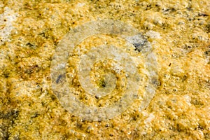 Rotten water bubbles surface background