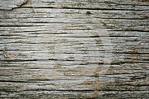 Rotten wood background