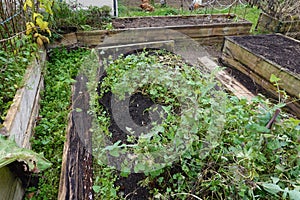 rotten wood in raised wooden bed. home cultivation in raised bed