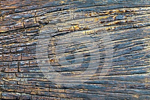 Rotten wood, Wood decay, Old wooden pattern