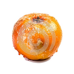 Decomposing Rotten Orange Unhealthy Eating Concept in Spoiled Citrus, Mold Growth, Generative Ai