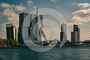 Rotterdam cityscape Erasmus bridge over the Meuse river and modern office buildings at Kop van Zuid, the Netherlands Holland