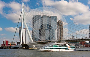 Rotterdam downtown Erasmus bridge over the Meuse river and modern office buildings at Kop van Zuid, the Netherlands Holland