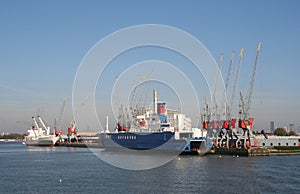 Rotterdam Harbor