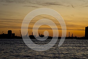 Rotterdam harbor silhouette during sunset with cranes in the distance