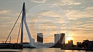 Rotterdam landscape