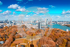 Rotterdam, Netherlands. City skyline on a beautiful sunny day