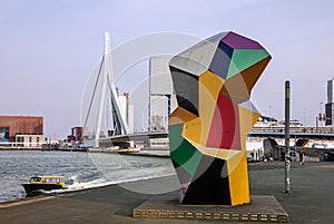 Rotterdam in Netherlands: Erasmus Bridge and harbor