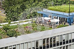 Rooftop garden and cafe
