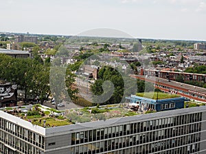 View on Rooftop garden De Dakakker in Rotterdam