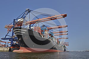 Rotterdam Port Container Ship