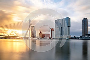 Rotterdam Skyline with Erasmusbrug bridge in morning ,Netherlands