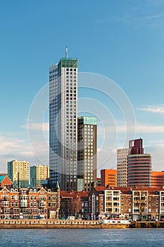 Rotterdam skyline with houses and skyscrapers