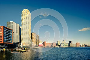 Rotterdam skyline in warm afternoon light