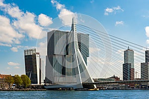 Erasmus bridge over the Meuse river and modern office buildings at Kop van Zuid, Rotterdam the Netherlands Holland