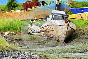 Rotting Boat along Kachemak Bay photo