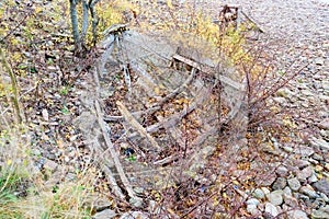 Rotting boat keel