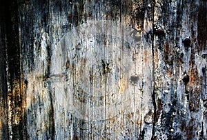Rotting and cracking wooden background.