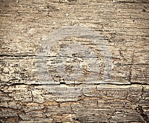 Rotting dry wooden background