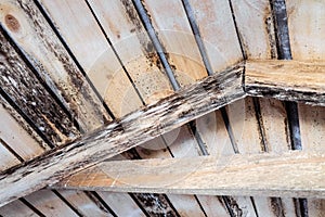 Rotting due to humidity and growth of molds wooden roof photo