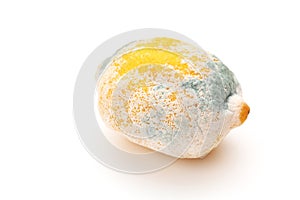 Rotting lemon with mold.