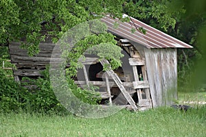 Rotting old barn in Acton Texas