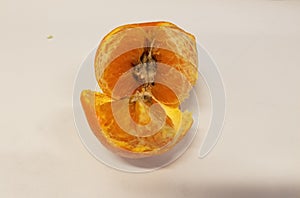 Rotting putrid inside of an orange citrus fruit