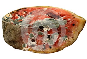 Rotting watermelon