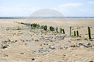 Rotting wave breakers