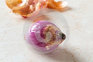 Rotting of whole red shallot bulb macro. Black mold fungus on peeled eschalot. Closeup of spring onion rots. Rotten vegetables